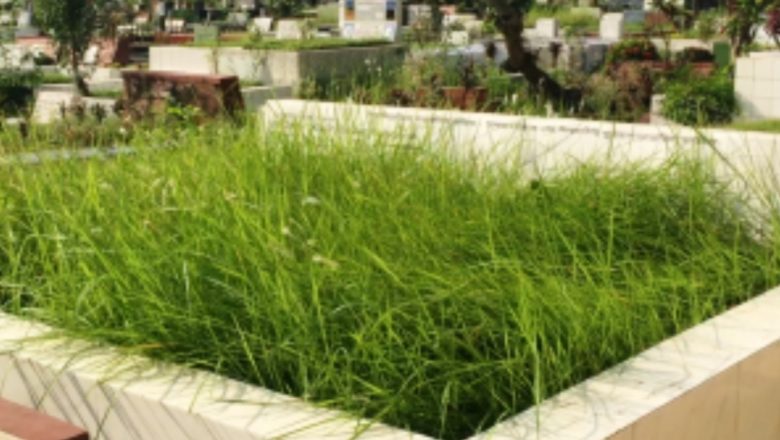 সংরক্ষিত কবরে নতুন কবরের ফি নির্ধারণ