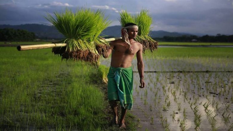 ব্যক্তি মালিকানায় ৬০ বিঘার বেশি জমি থাকলে তা বাজেয়াপ্ত