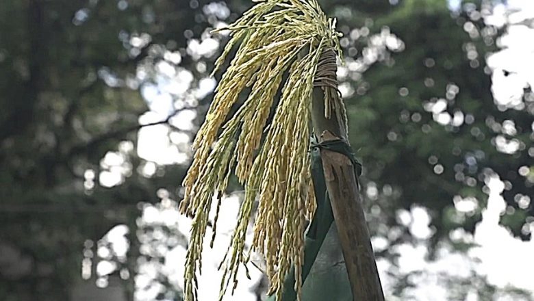 চট্রগ্রাম পলোগ্রাউন্ড এখন জনসমুদ্র